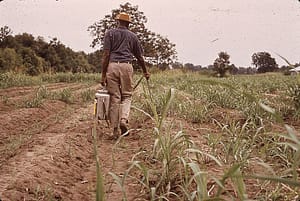 hand spraying pesticides man hand spraying crops
