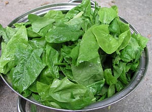 Spinach_leaves bowl of baby spinach leaves