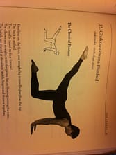 diagram posture - Chakravakasana - Sunbird