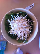 salad bowl with pea leaves and bean sprouts