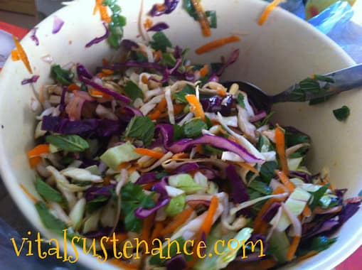 salad of cabbage, mint, coriander, bean sprouts and carrot