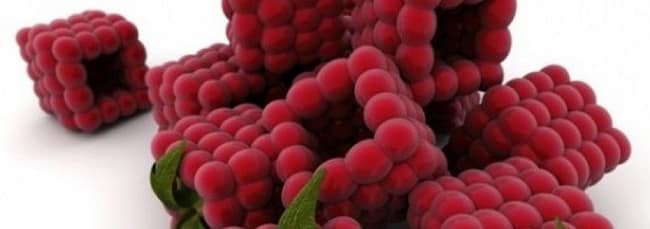 food innovation - square raspberries