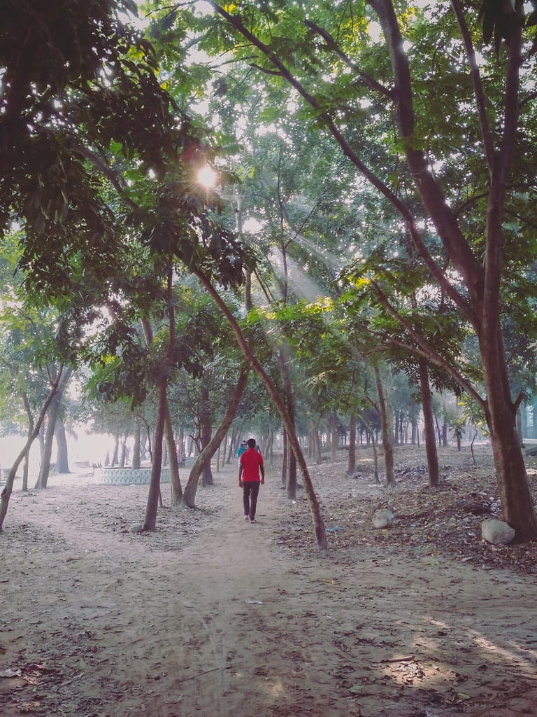 morning walk through the forest - how do I motivate myself to exercise?